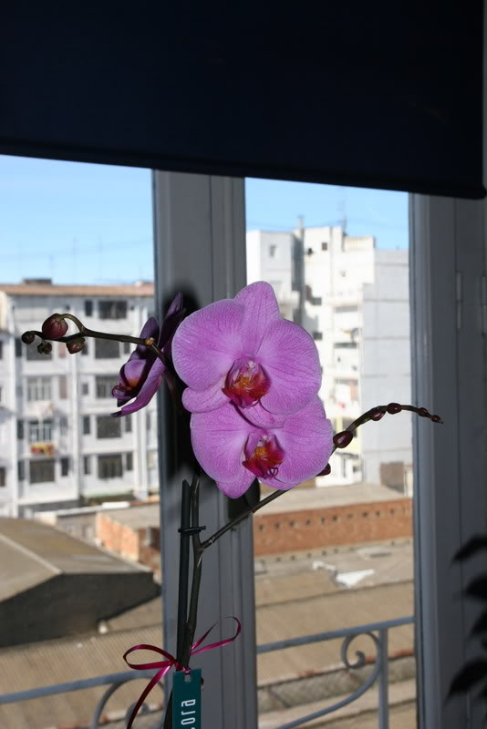 IMG_9700_resize.jpg