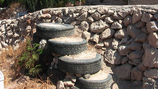 IMGA0006.jpg
