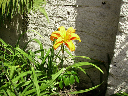 IMGP0024.JPG