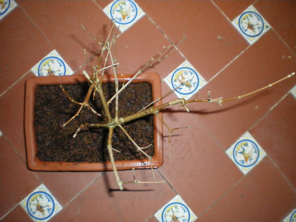 IMGP0064.jpg