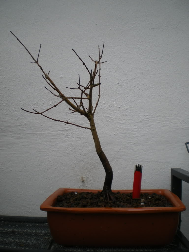 IMGP0067.jpg