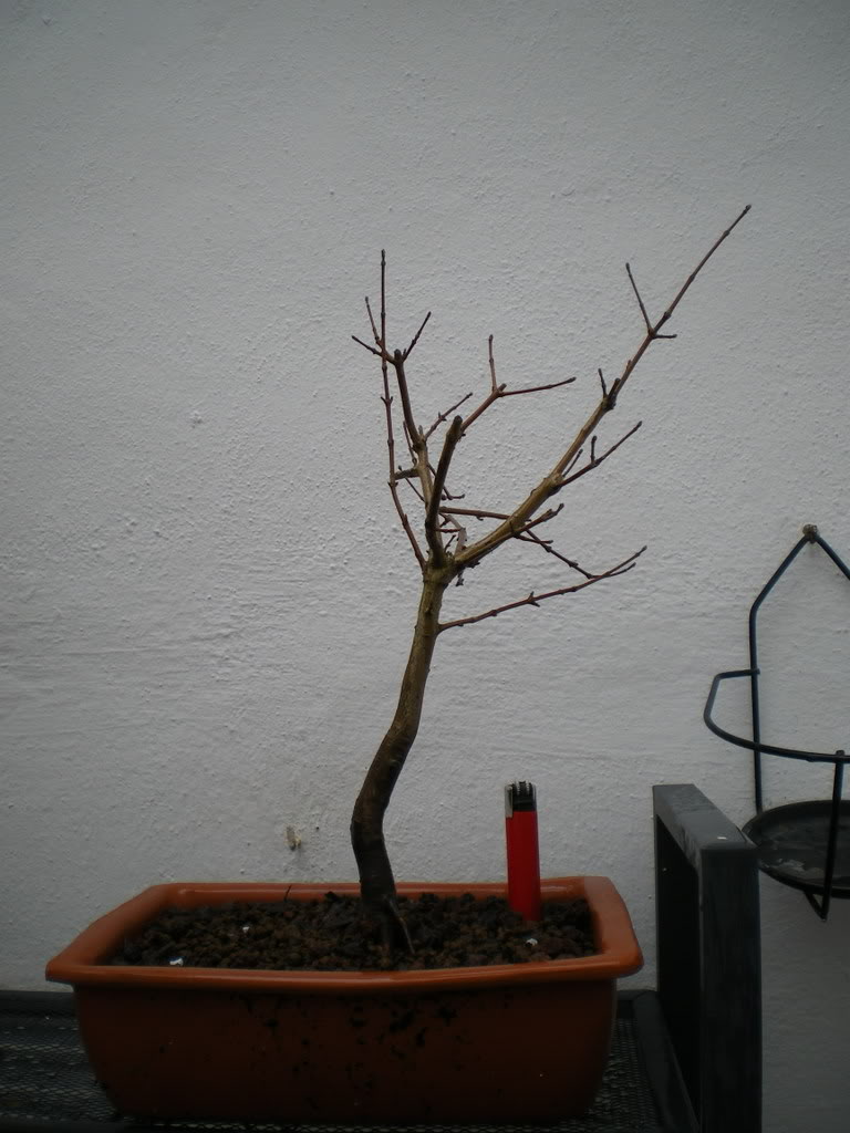 IMGP0068.jpg