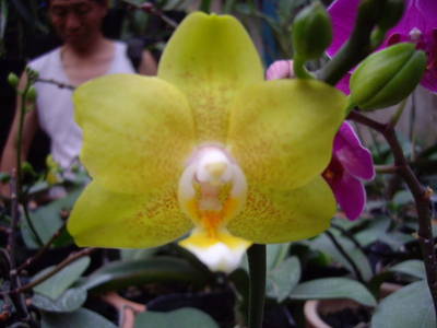 IMGP0670.JPG