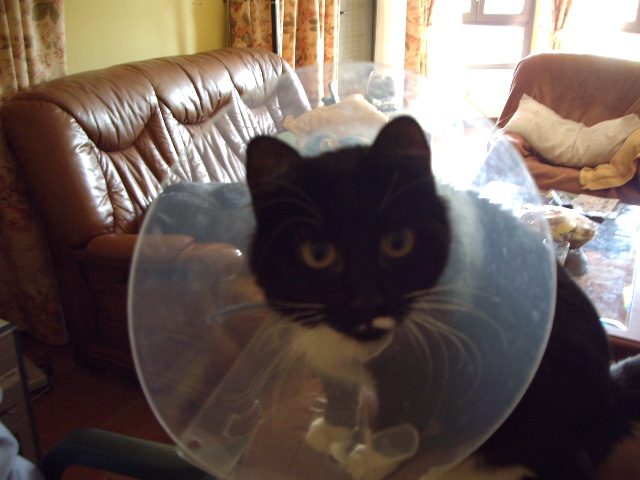 IMGP0889.JPG