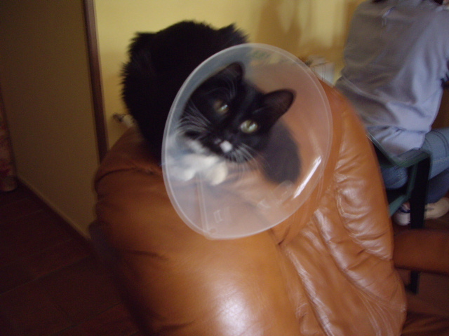 IMGP0891.JPG