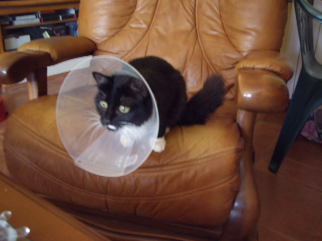 IMGP0892.JPG