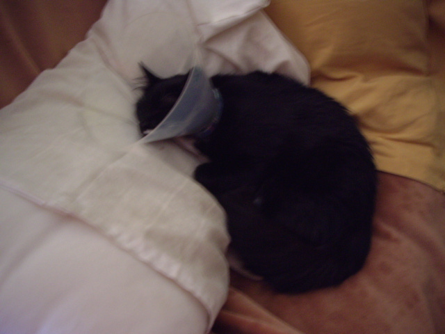 IMGP0893.JPG