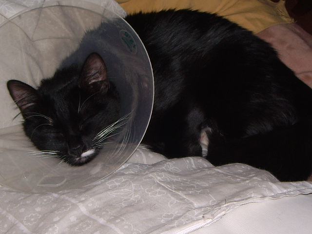 IMGP0895.JPG