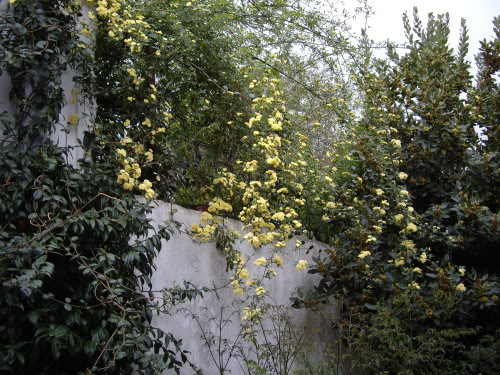 IMGP0923.jpg