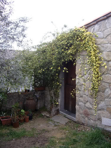 IMGP0924.jpg