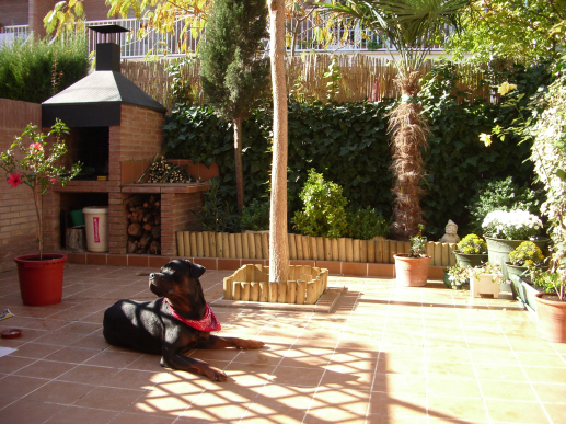 IMGP1155.jpg