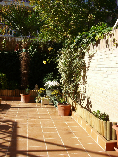 IMGP1157.jpg