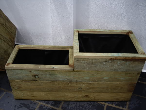IMGP1182.jpg