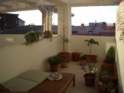 IMGP1284.JPG