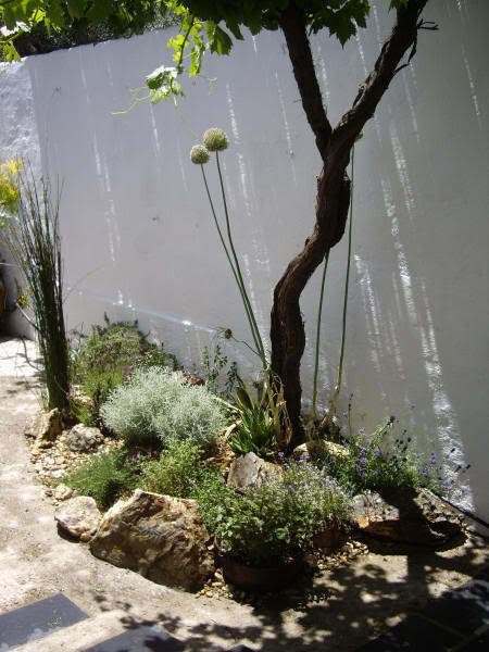 IMGP1284.jpg