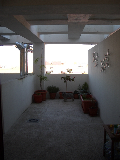 IMGP1291.JPG