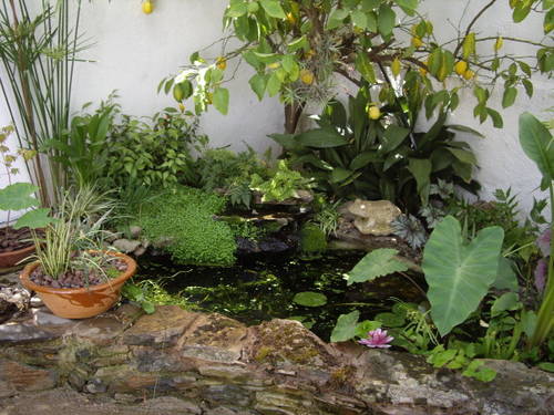 IMGP1457.jpg