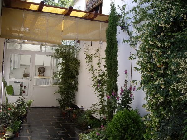 IMGP1464.jpg