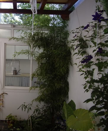 IMGP1702-1.jpg