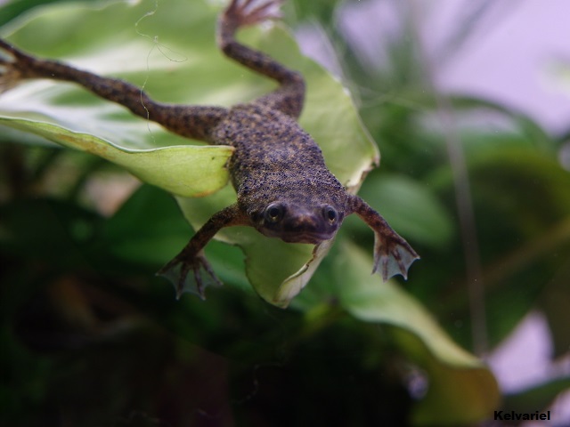 IMGP1743_zps237608fa.jpg