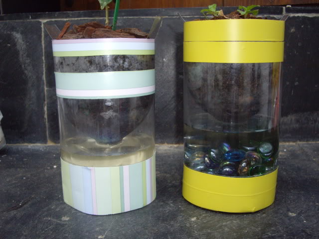 IMGP2484.jpg