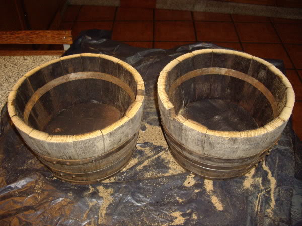 IMGP2504.jpg