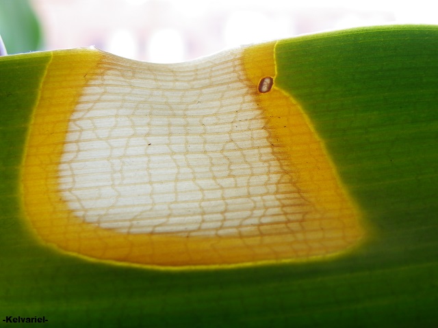 IMGP3032_zps95831c3a.jpg