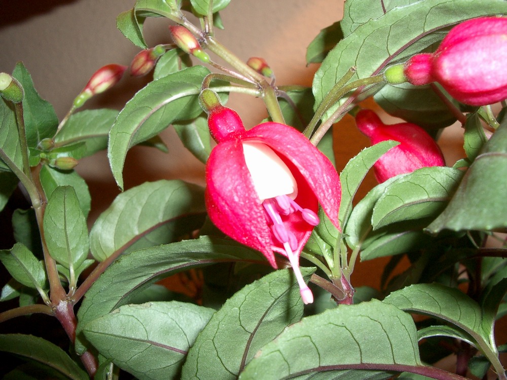 IMGP3459.JPG