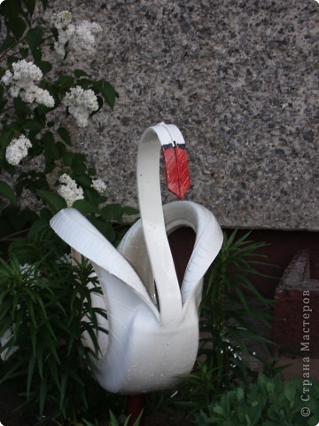 IMGP3740.JPG