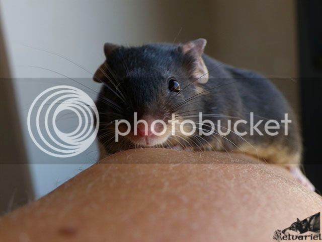 IMGP3946_zps9texof9x.jpg