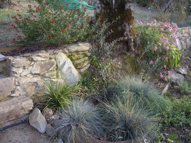 IMGP4049_3_1.jpg