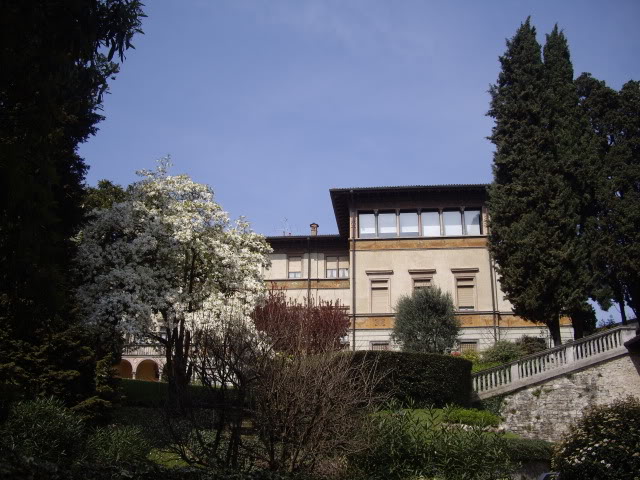 IMGP4551.jpg