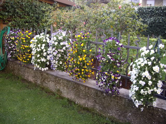 IMGP4562.jpg