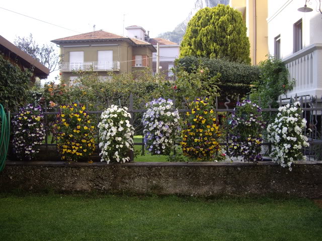 IMGP4563.jpg