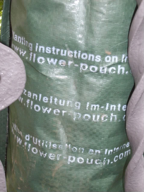 IMGP4581.jpg