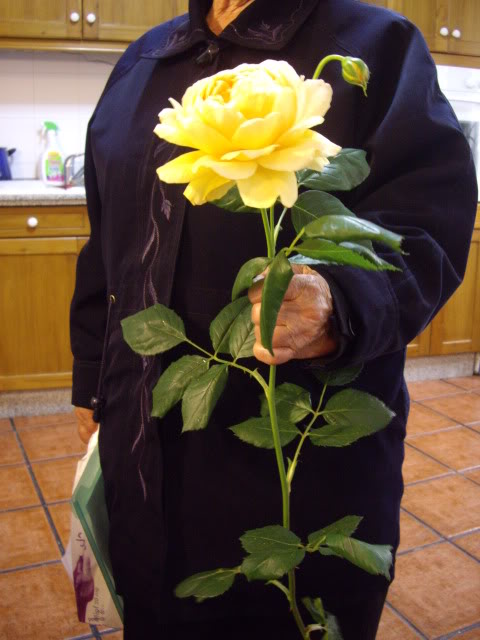 IMGP4752.jpg