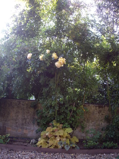 IMGP4803.jpg