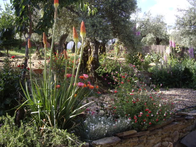 IMGP4871.jpg