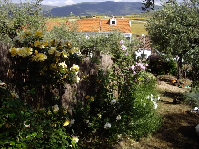 IMGP4889.jpg