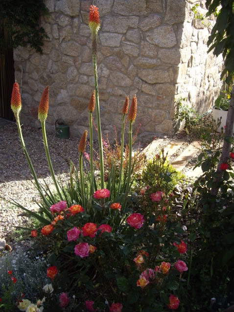 IMGP4896.jpg