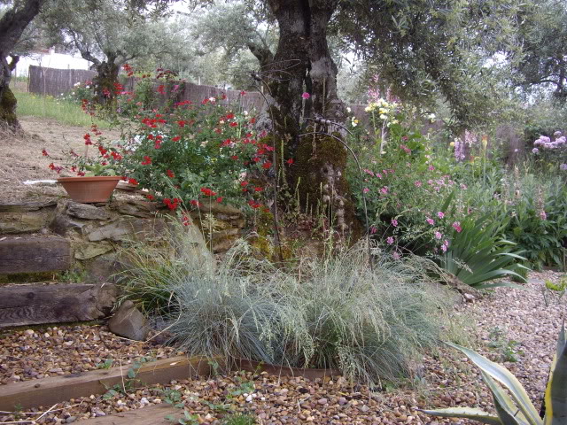 IMGP4905.jpg