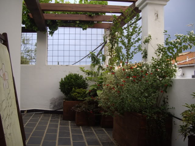 IMGP4926.jpg