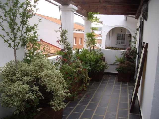 IMGP4927.jpg