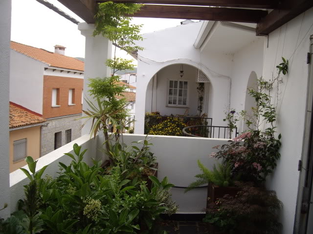 IMGP4928.jpg