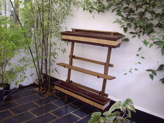 IMGP5058.jpg