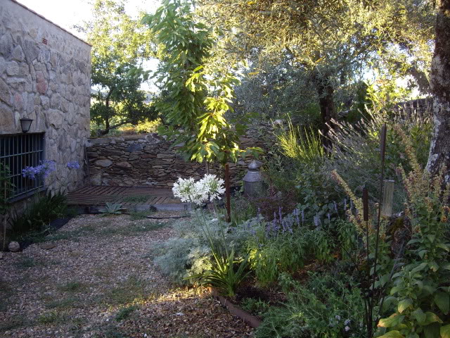IMGP5133.jpg