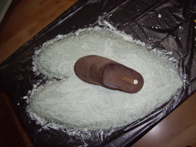 IMGP5564.jpg