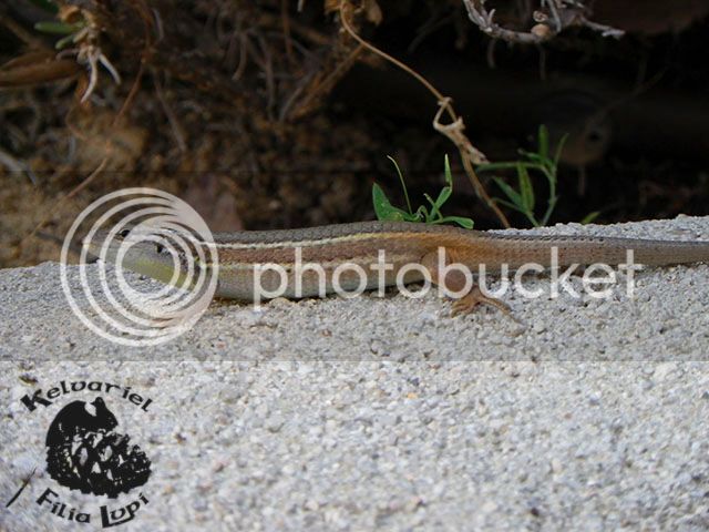 IMGP5650_zpsb8mrkzxy.jpg