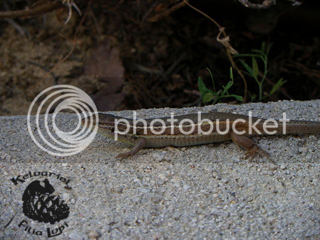 IMGP5653_zps7bau42lg.jpg