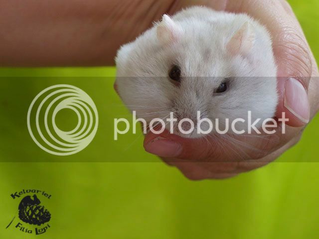 IMGP5988_zpsgvsns9lh.jpg